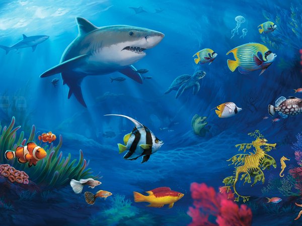 акулы, кораллы, мурена, подводный мир, рыбки, черепаха