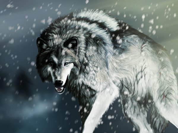 волк, рендеринг, снег