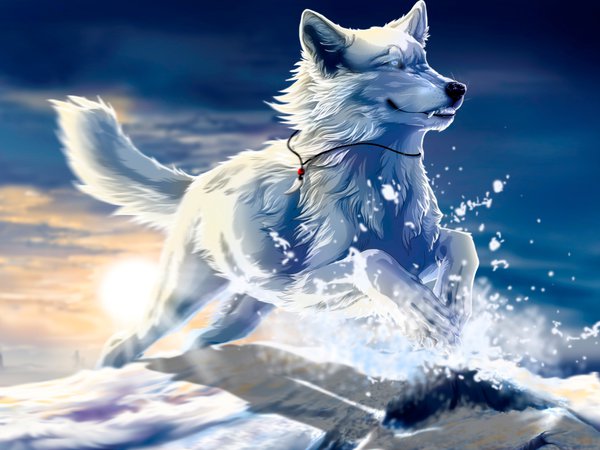 art, be free, wolfroad, белый, волк, закат, клык, прыжок, снег, солнце