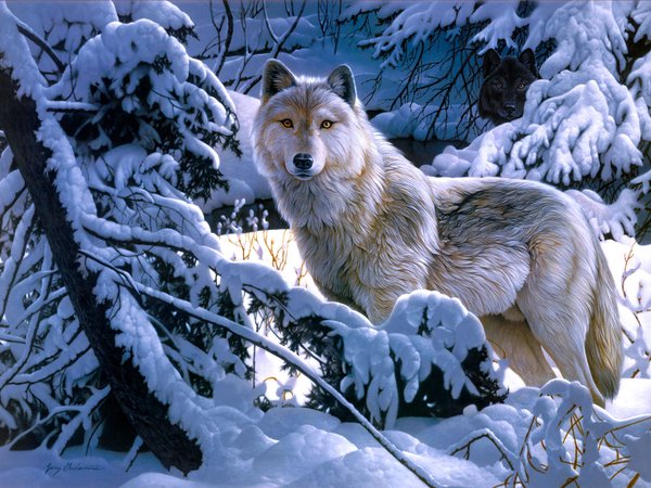 Jerry Gadamus, арт, волк, зима, лес, снег