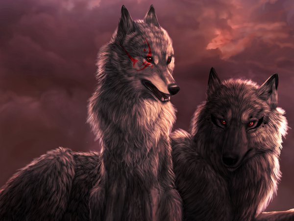 art, Dark_Sheyn, волк, волчица, закат, облака