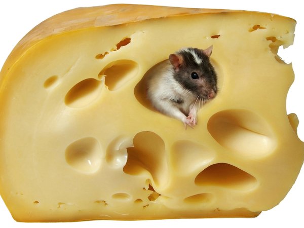 мышь, сыр