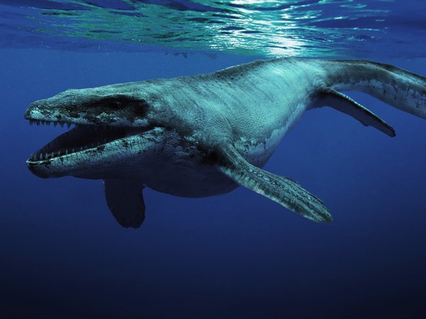 динозавр, море, пасть