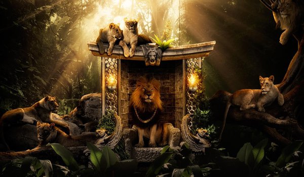 Обои на рабочий стол: лев, львица, трон, царь