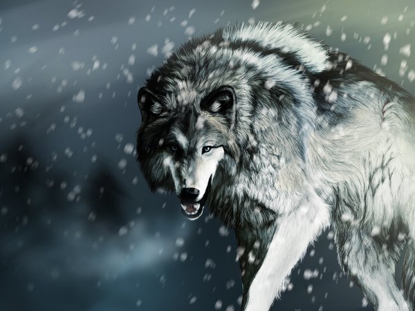 волк, охота, рисунок, снег