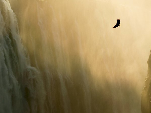 водопад, орел