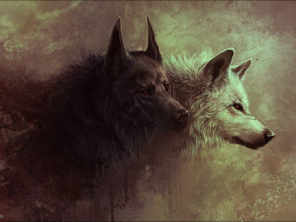 волк, рисунок