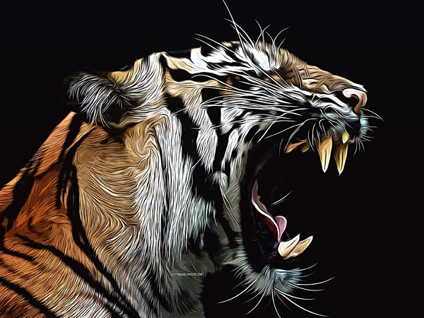 abstract animals, creative art, furious tiger, fury, tiger, tiger art, tiger drawing, vector art, vector drawing, wild animals