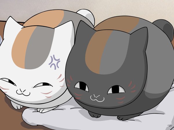 Кошки аниме обои