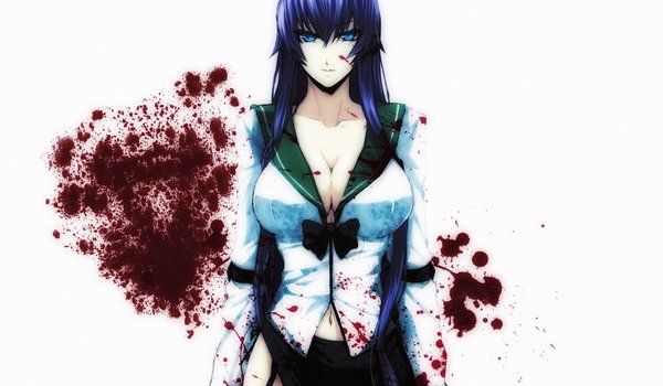 Обои на рабочий стол: highschool of the dead, saeko busujima, взгляд, грудь, кровь, ярость