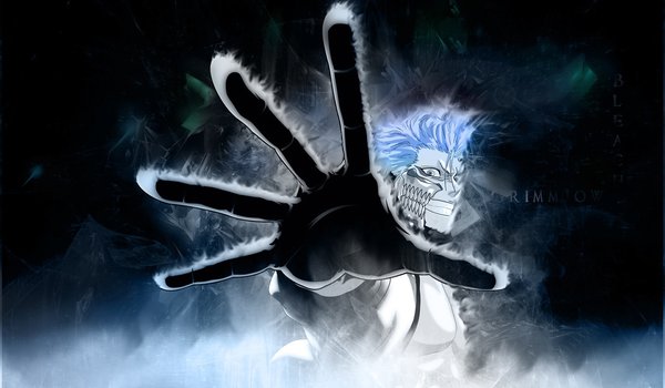 Обои на рабочий стол: bleach, grimmjow, блич