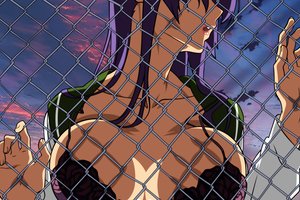 Обои на рабочий стол: busujima saeko, highschool of the dead, грудь, фиолетовые волосы, школьная форма