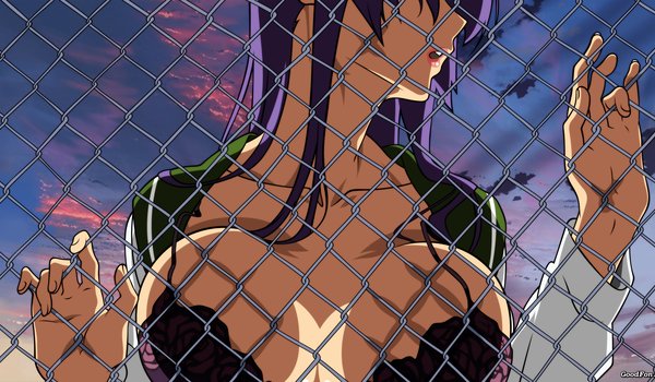 Обои на рабочий стол: busujima saeko, highschool of the dead, грудь, фиолетовые волосы, школьная форма