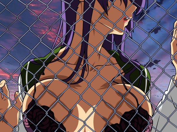busujima saeko, highschool of the dead, грудь, фиолетовые волосы, школьная форма