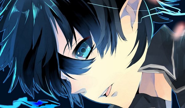 Обои на рабочий стол: ao no exorcist, blue exorcist, rin okumura, аниме, синий экзорцист