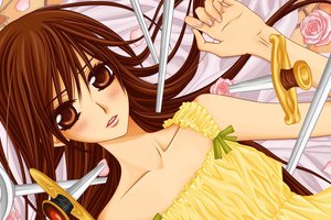 Обои на рабочий стол: vampire knight, yuki, аниме, рыцарь-вампир, юки