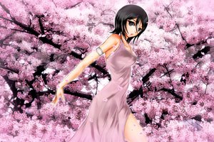 Обои на рабочий стол: bleach, rukia kuchiki, аниме, розовый цвет, сакура, цветение