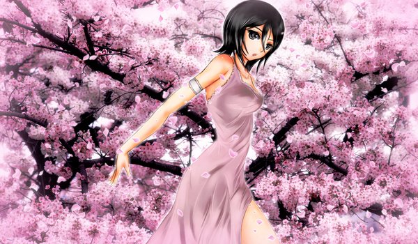 Обои на рабочий стол: bleach, rukia kuchiki, аниме, розовый цвет, сакура, цветение