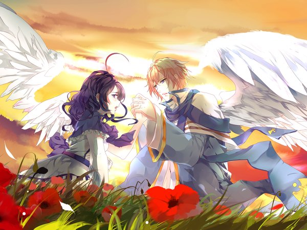 aiki-ame, art, влюбленные, двое, девушка, закат, крылья, парень, поляна, цветы