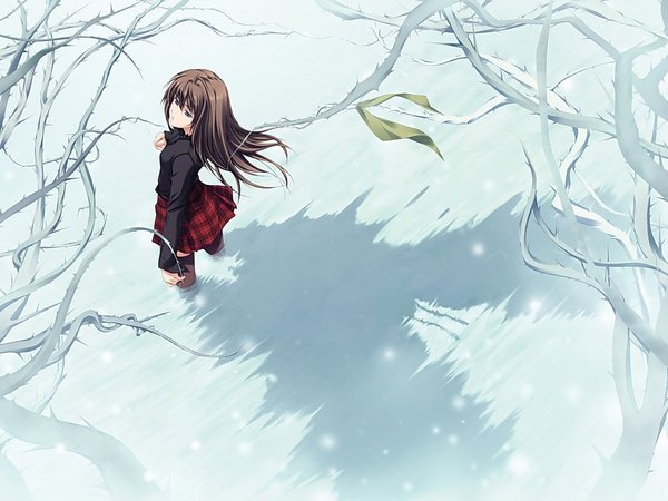 девушка, дерево, мороз, нежность, снег