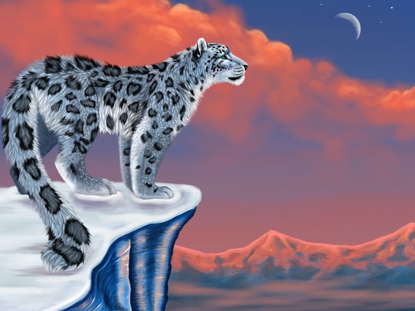 snow leopard, горы, ирбис, луна, рисунок, снег, снежный барс