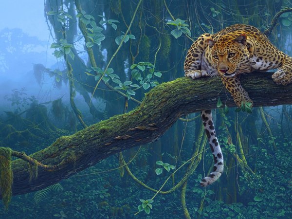 дерево, тропики, хищник, ягуар