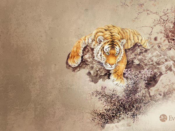 животные, рисунок, тигр