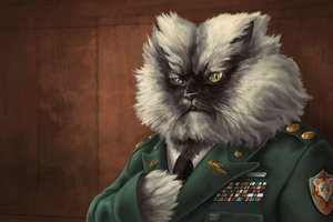 Обои на рабочий стол: генерал, кот, награды, погоны, рисунок