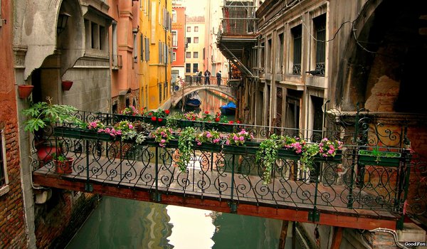 Обои на рабочий стол: венеция, канал, мостик, переход, цветы