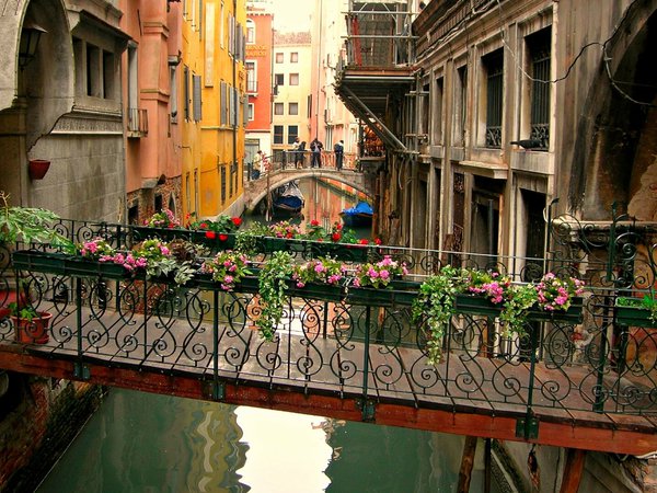 венеция, канал, мостик, переход, цветы