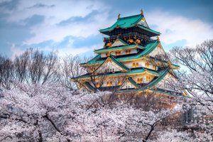 Обои на рабочий стол: весна, город, небо, сакура, храм, цвет, япония