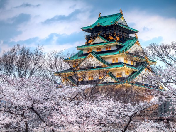 весна, город, небо, сакура, храм, цвет, япония