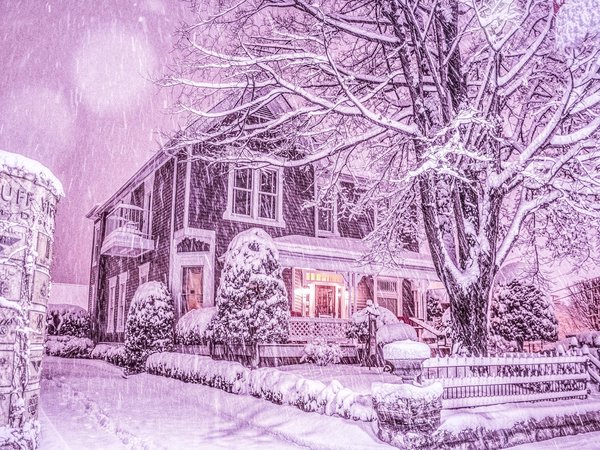 Chattanooga, Tennessee, деревья, дом, зима, зимняя сказка, снег, снегопад, Теннесси, Чаттануга