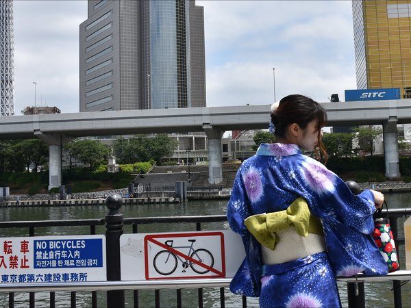 bridge, city, good lack, information, ladies, tokyo