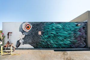 Обои на рабочий стол: city, dove, graffiti on the wall, sky, street, street art, голубь, город, граффити на стене, небо, стрит-арт, улица, уличное искусство