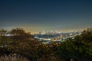 Обои на рабочий стол: los angeles, night, sky, skyline, trees, view