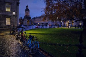 Обои на рабочий стол: Dublin, ireland, Parliament Square, велосипеды, дерево, дома, Дублин, здания, ирландия, ночной город, Парламентская площадь, площадь, фонарь