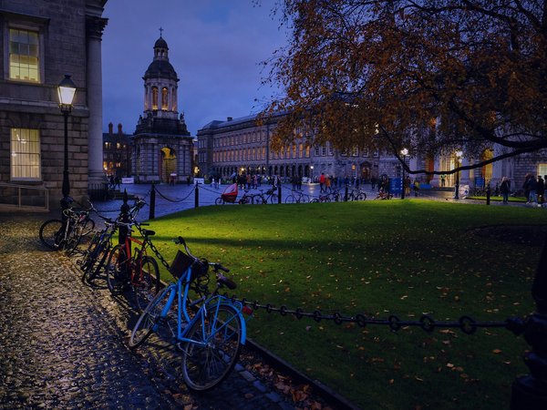 Dublin, ireland, Parliament Square, велосипеды, дерево, дома, Дублин, здания, ирландия, ночной город, Парламентская площадь, площадь, фонарь