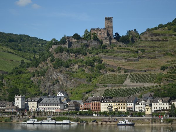 germany, nature, river, town, город, дома, здания, река