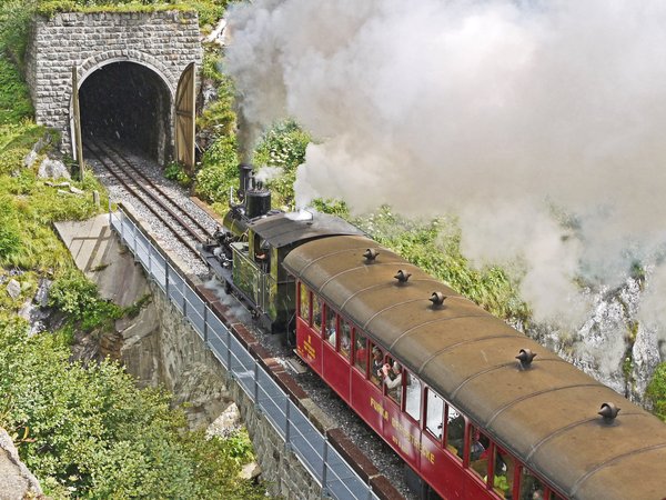 locomotive, plants, railway, smoke, train, tunnel, дым, железная дорога, паровоз, поезд, растения, тоннель