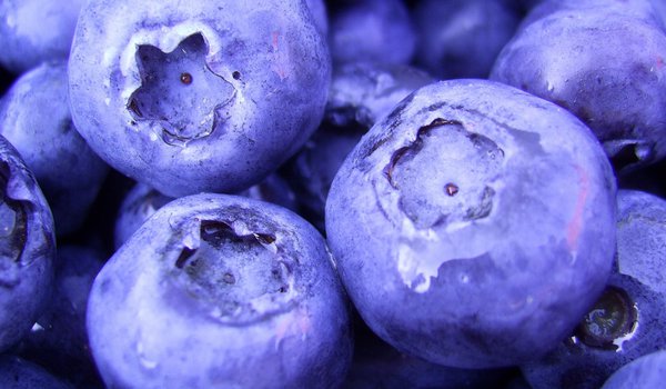 Обои на рабочий стол: 1920x1080, berries, blueberry, food, macro, еда, макро, черника, ягоды