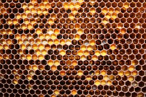 Обои на рабочий стол: майский мед, мед, соты