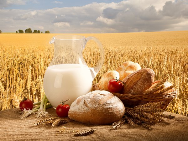 булочки, корзина, кувшин, лук, молоко, небо, поле, помидоры, пшеница, хлеб