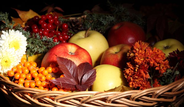 Обои на рабочий стол: корзина, листья, облепиха, осень, фрукты, цветы, яблоки
