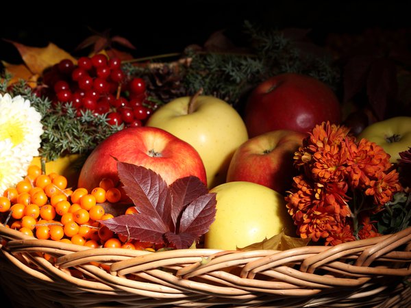 корзина, листья, облепиха, осень, фрукты, цветы, яблоки