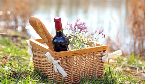 Обои на рабочий стол: багет, бутылка, вино, корзина, красное, пикник, природа, ромашки