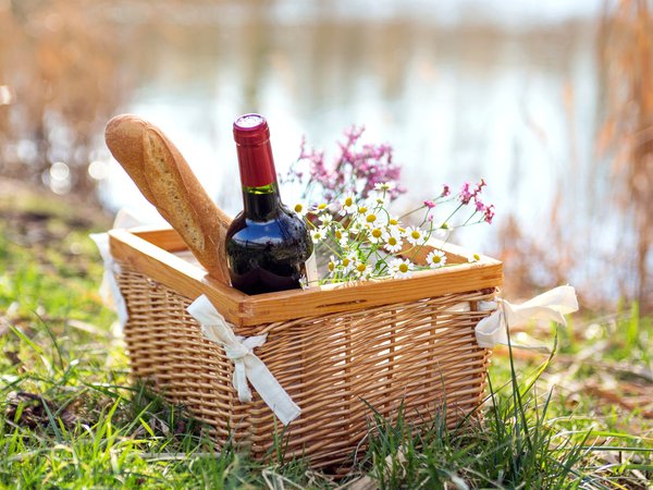 багет, бутылка, вино, корзина, красное, пикник, природа, ромашки