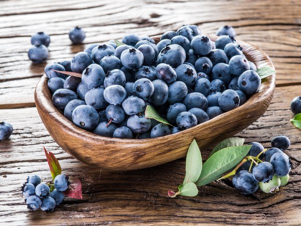 berries, blueberry, fresh, wood, корзинка, черника, ягоды