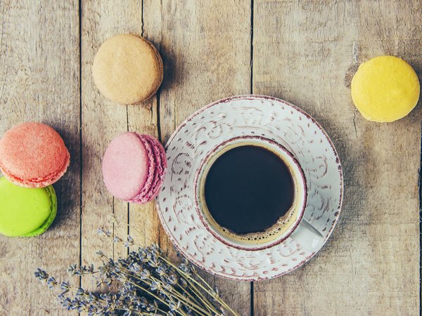 coffee cup, colorful, french, lavender, macaron, лаванда, макаруны, чашка кофе