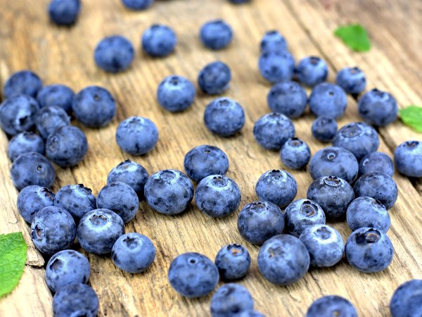 berries, blueberry, fresh, wood, голубика, черника, ягоды